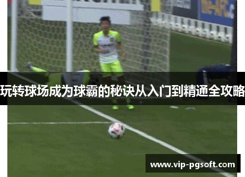 玩转球场成为球霸的秘诀从入门到精通全攻略