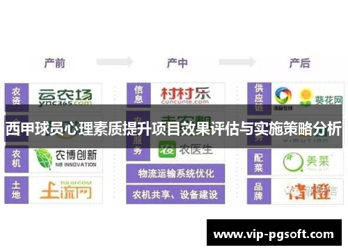 西甲球员心理素质提升项目效果评估与实施策略分析