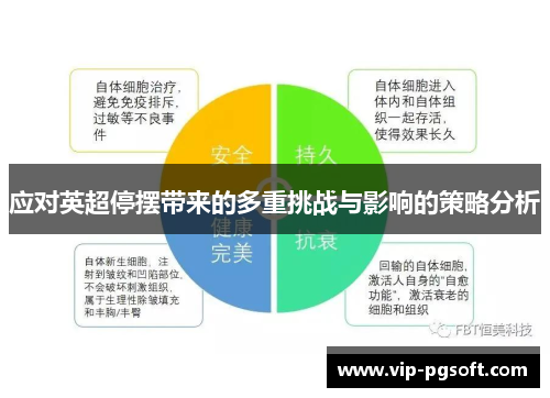 应对英超停摆带来的多重挑战与影响的策略分析